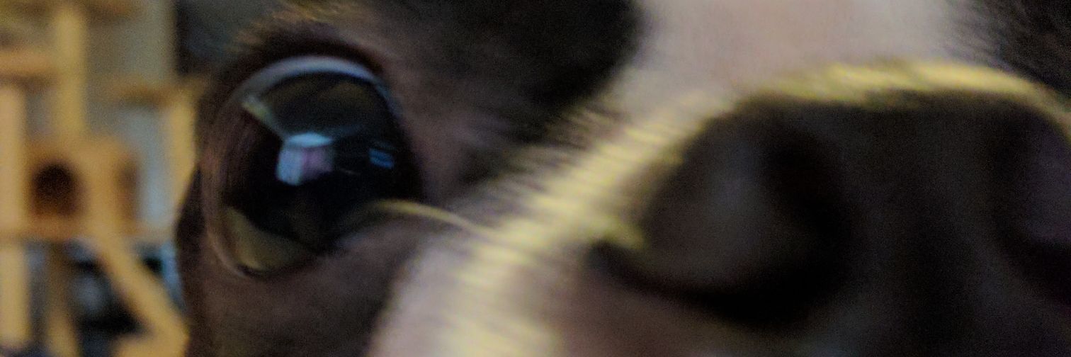 luckyuswemadeit's profile banner image