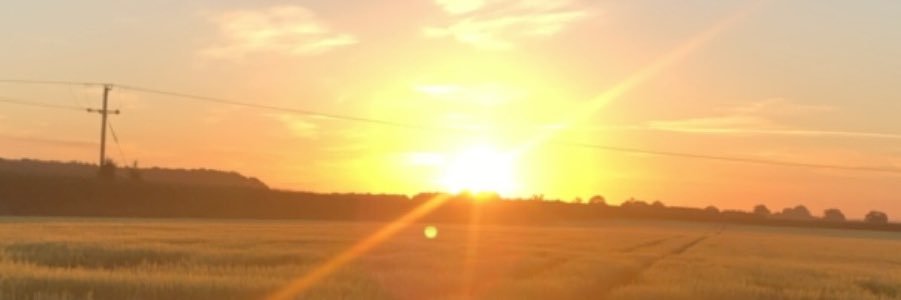 phoebebell18's profile banner image