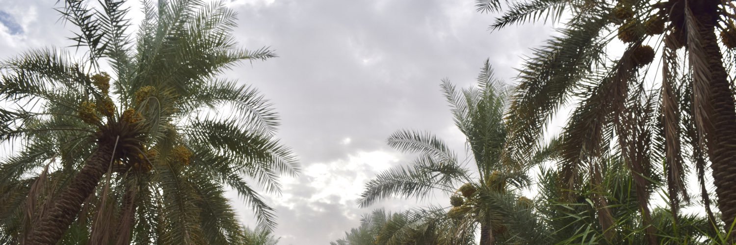 نـوف banner