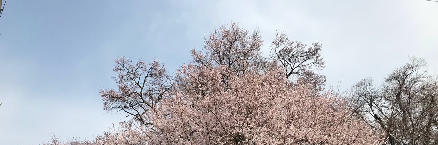 saybough's profile banner image