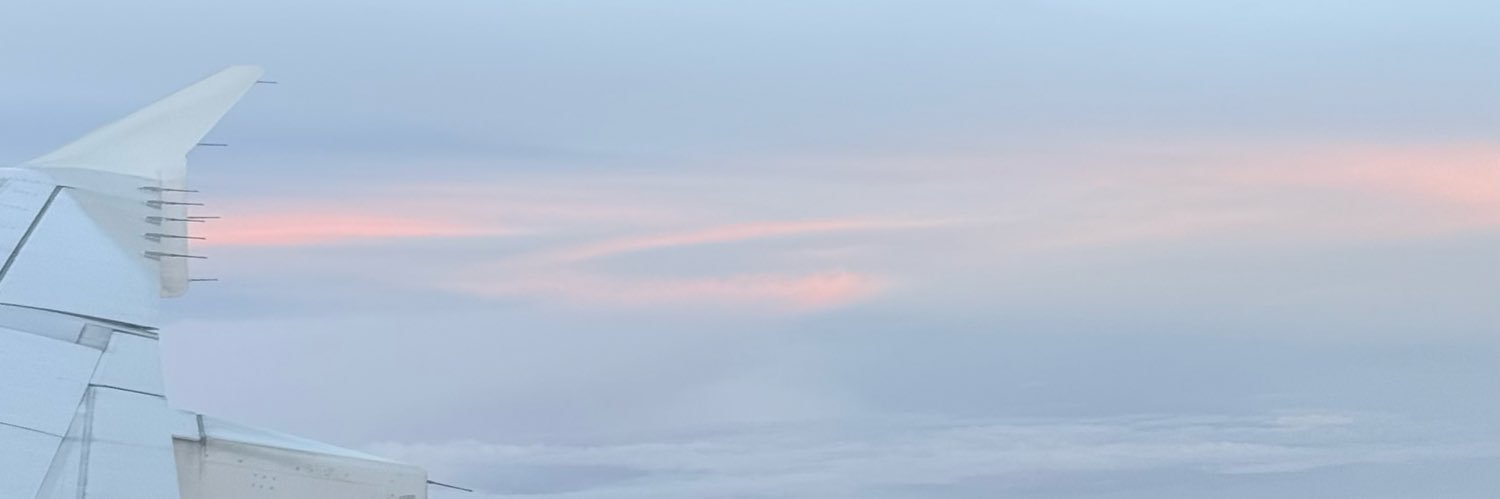 ₊˚ʚ 🐻‍❄️ ɞ˚₊ banner