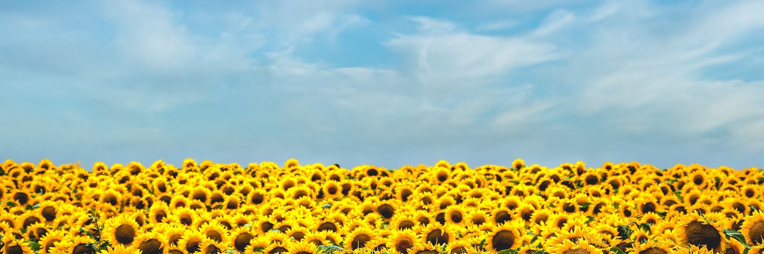 Tymchatyn's profile banner image