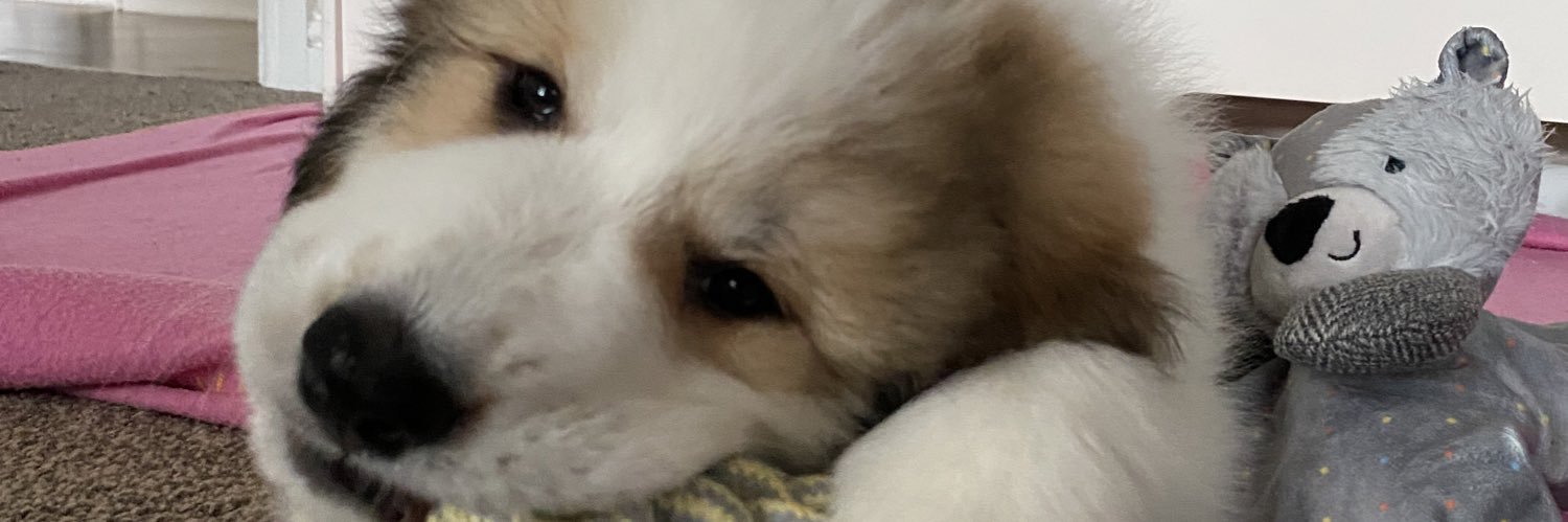 Jemma94x's profile banner image