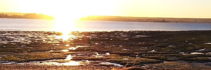 vvalujan's profile banner image