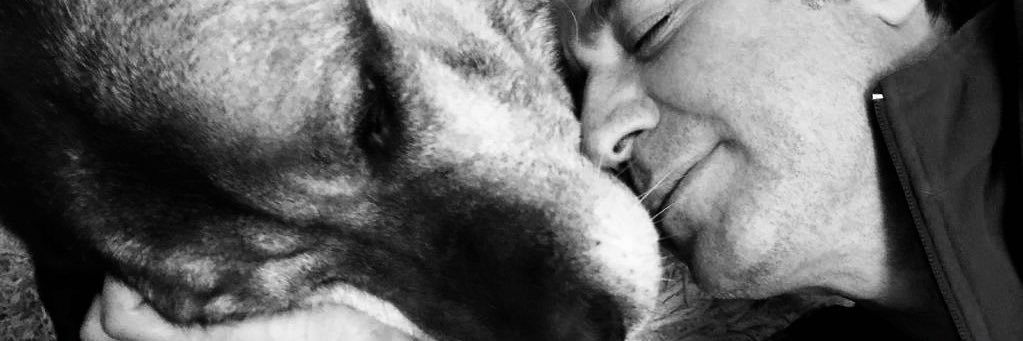 kurtulusmrt's profile banner image