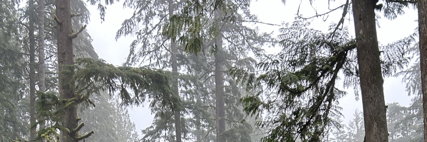 sydcoat's profile banner image