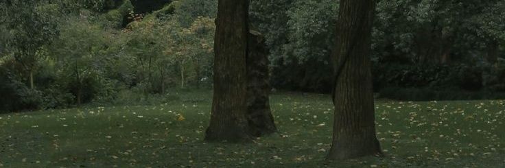 crimsonclovs's profile banner image
