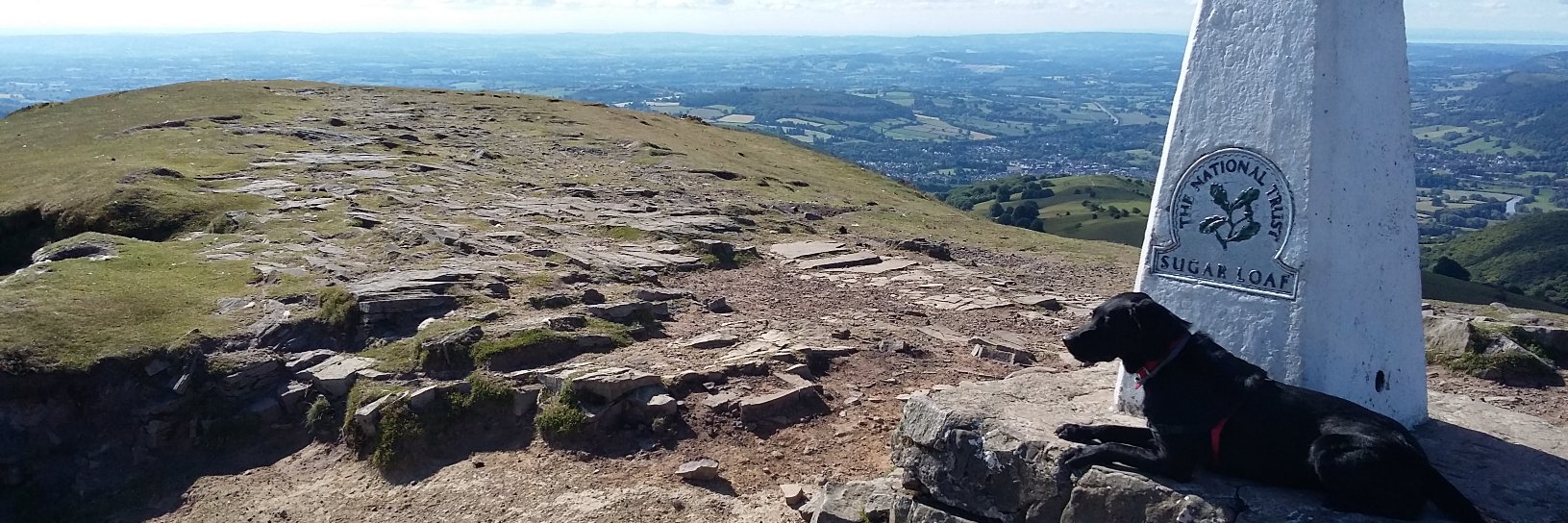 Matt Phillips banner