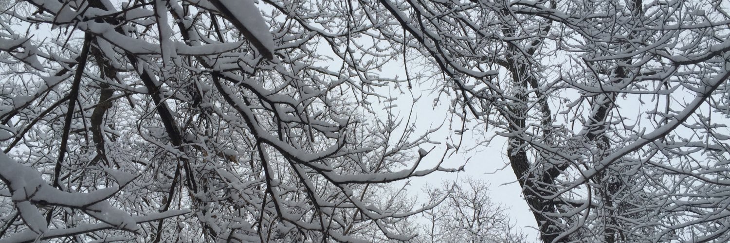 Kristen Nelson banner