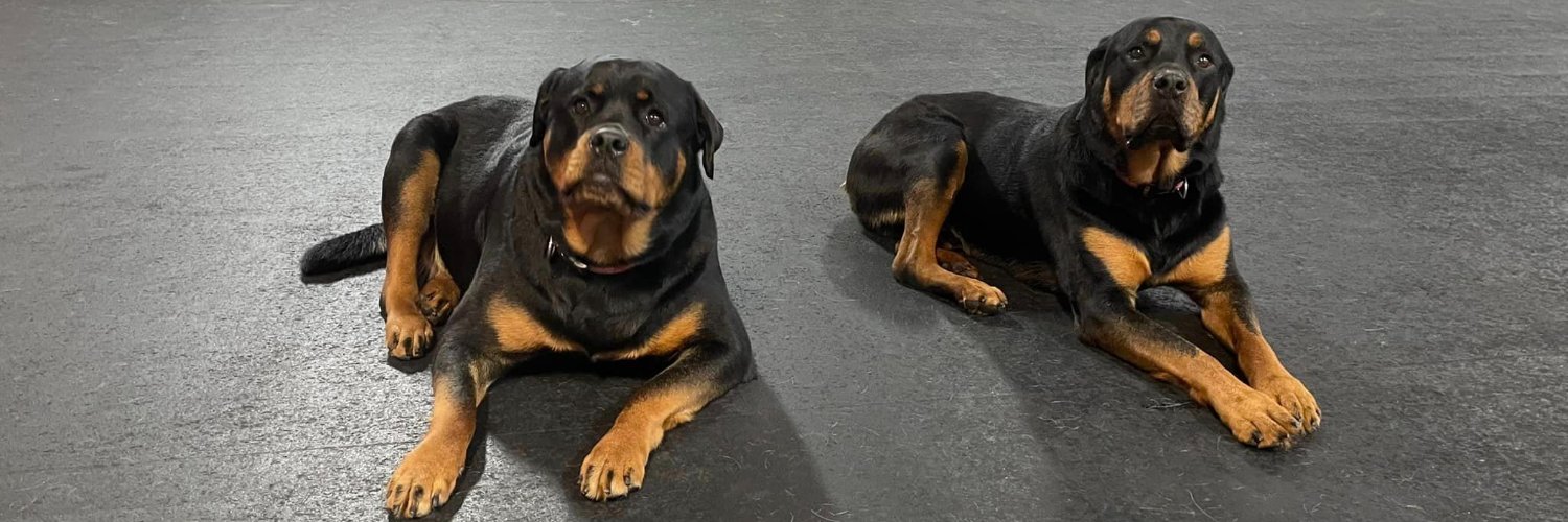 BobB 🇵🇱 banner