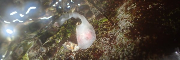 fieldgenomics Profile Banner