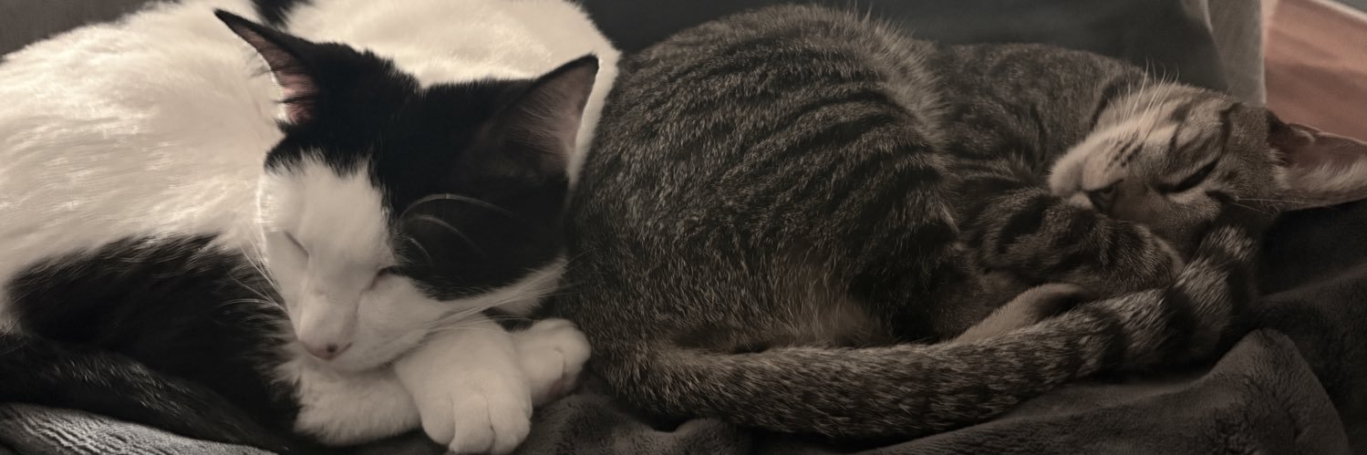 minimummaxi's profile banner image