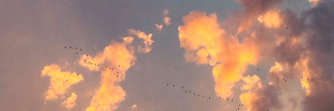 portionoflight's profile banner image