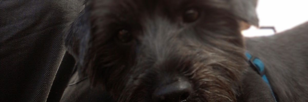 Joeykrunk2010's profile banner image