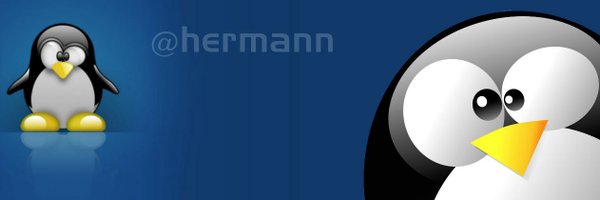 Hermann Profile Banner