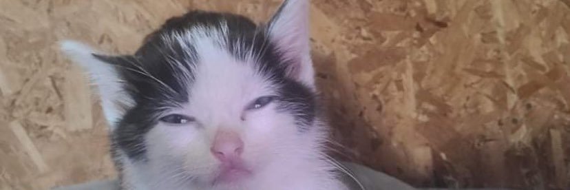 ItsHannah_40's profile banner image