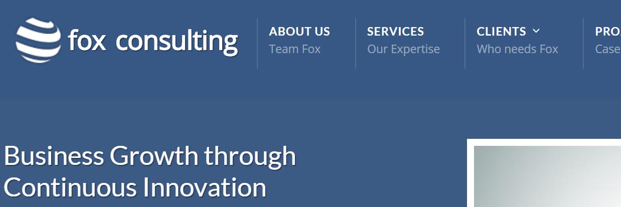 Fox Strategy Consulting banner