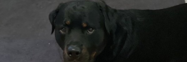 AJ_Anzalone Profile Banner