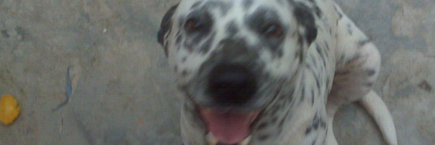 william20101's profile banner image