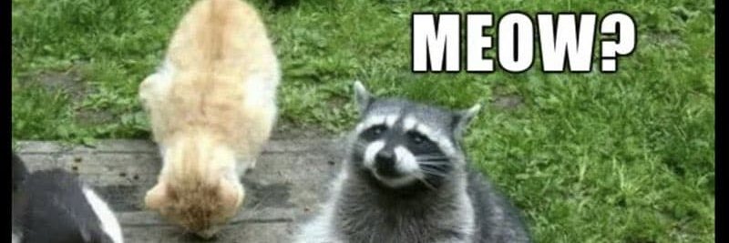 boredbreton's profile banner image