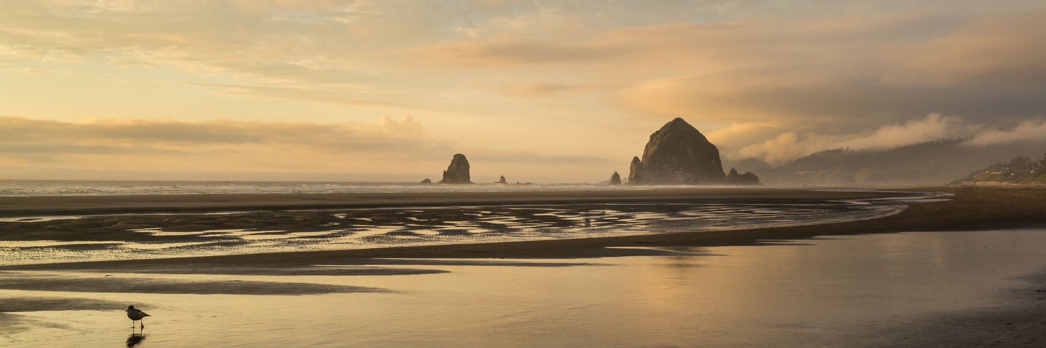 Paul Quinn Photography's banner
