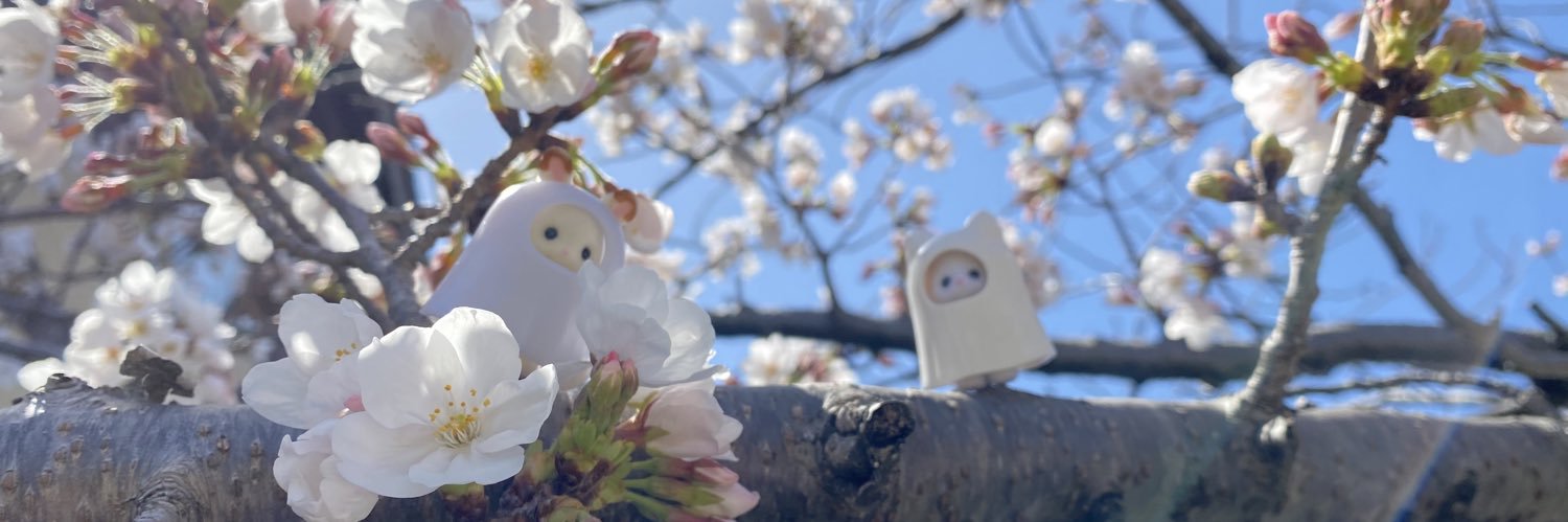 maomyao's profile banner image