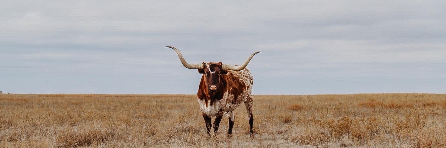 KyleBish22's profile banner image