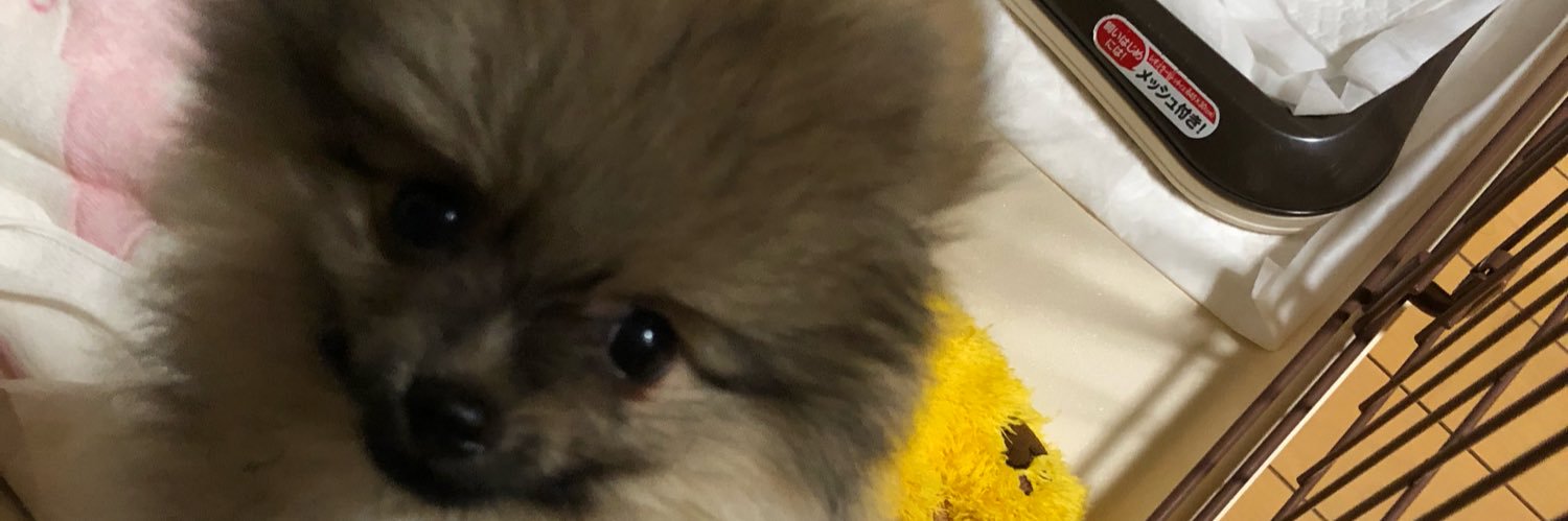 joypopz's profile banner image