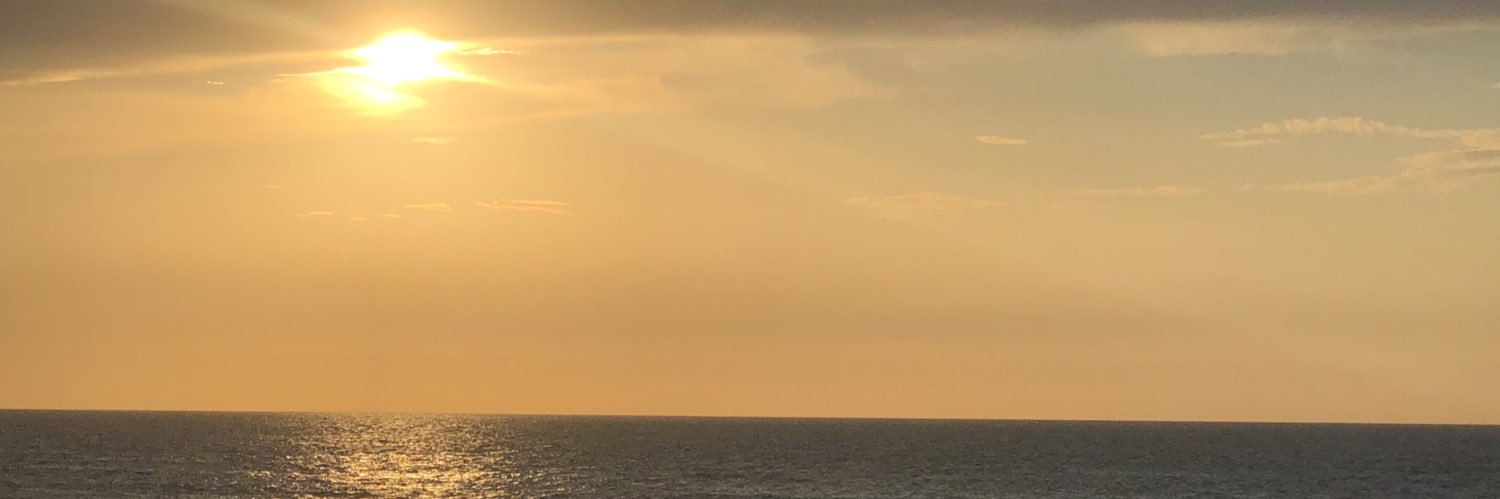 sylvicampo's profile banner image