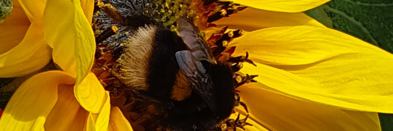 Mrs_8rightside's profile banner image
