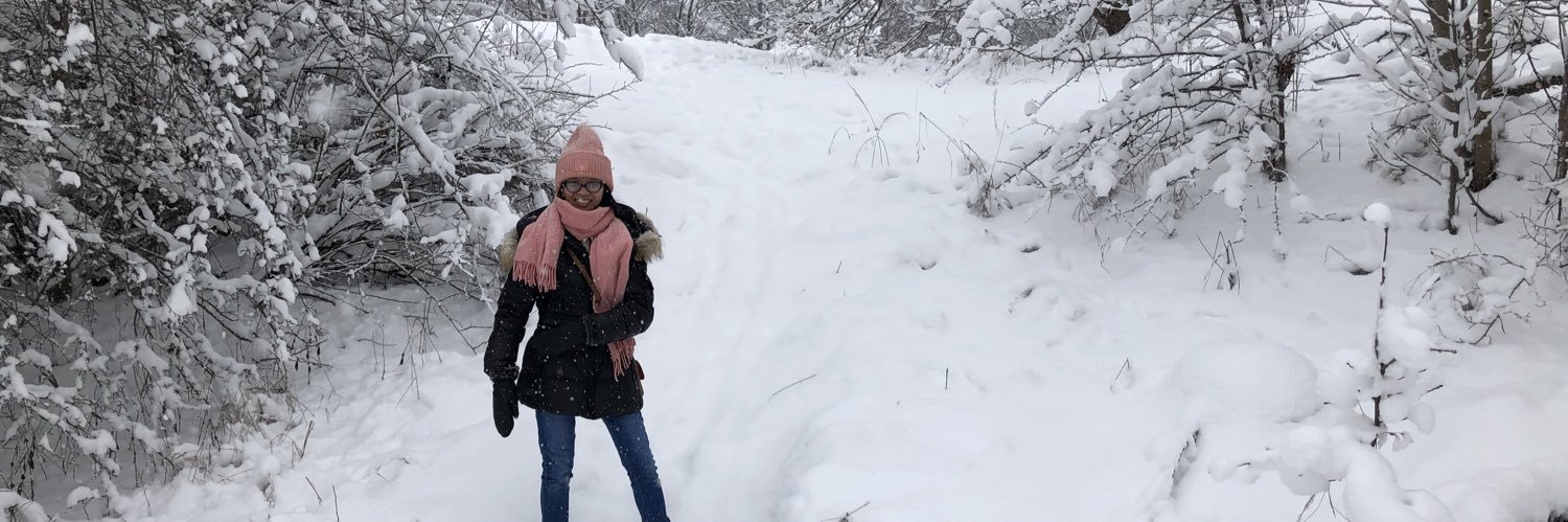 emeyarayee's profile banner image