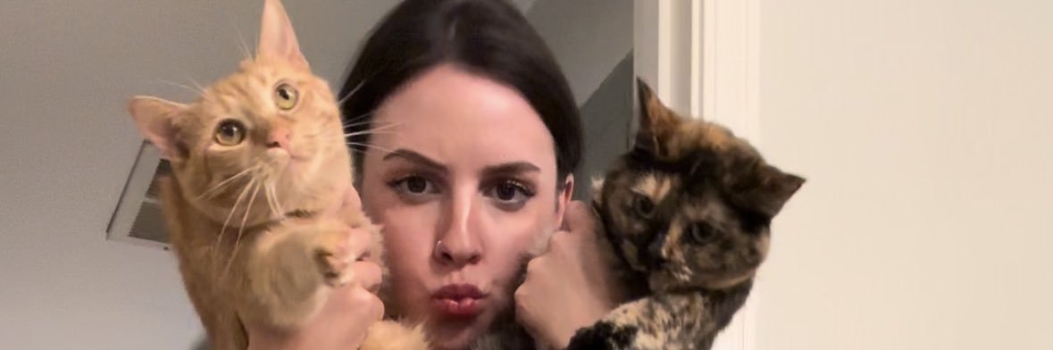 emilyevelti's profile banner image