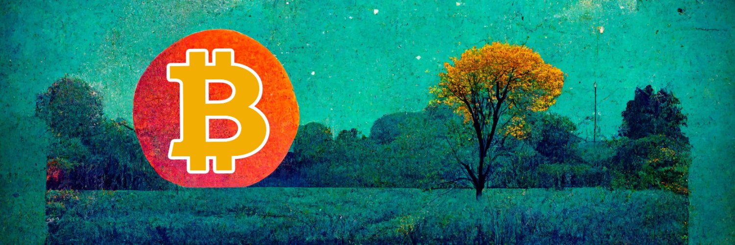 The Logical Shaman 100% #BTC banner