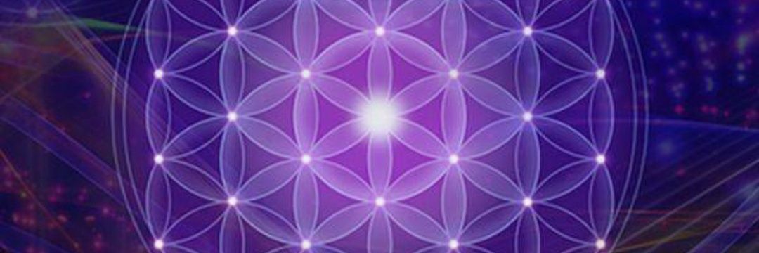 7Insight7's profile banner image