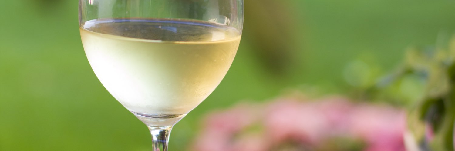 Chef Gardenia banner