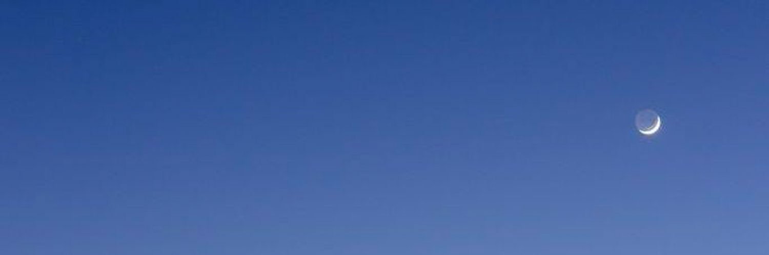 lelet_ofc's profile banner image