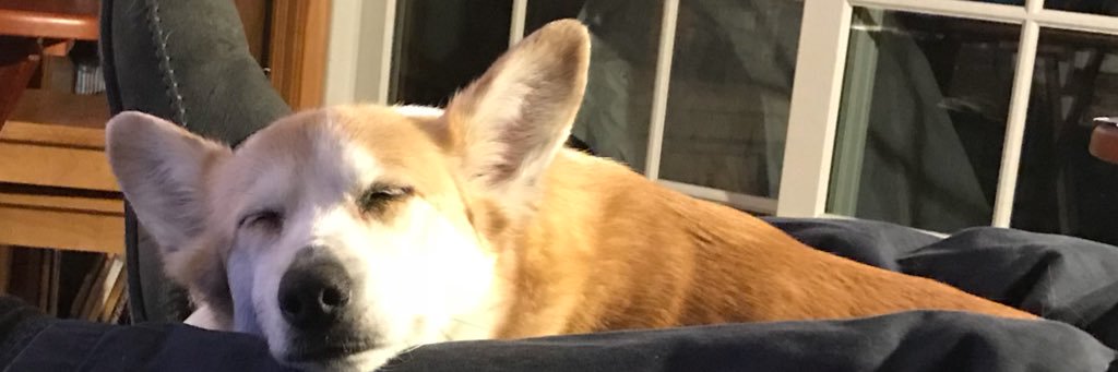 hannah_perry32's profile banner image