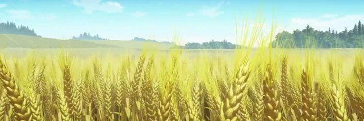 D4PraDale's profile banner image