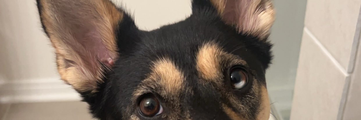 gigglmcdimples's profile banner image