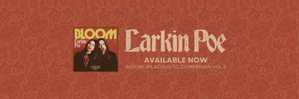 LarkinPoe Profile Banner