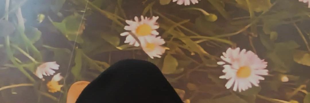 ERA UMA VEZ ESSE TT banner