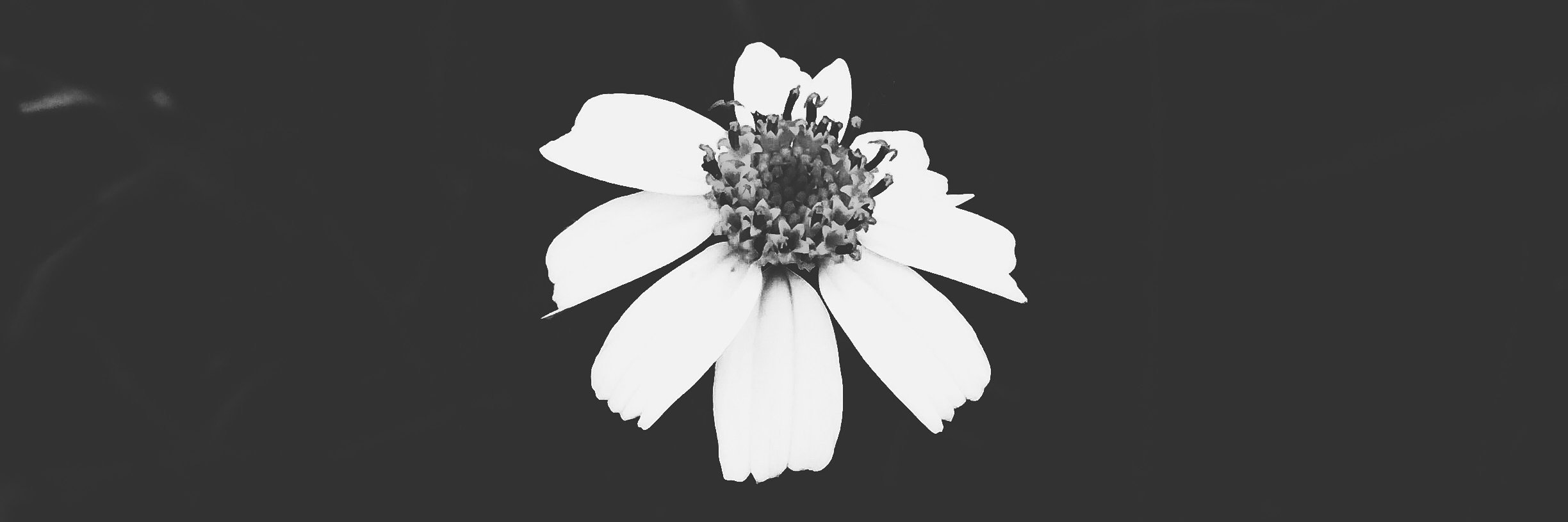 shortshstuffs's profile banner image