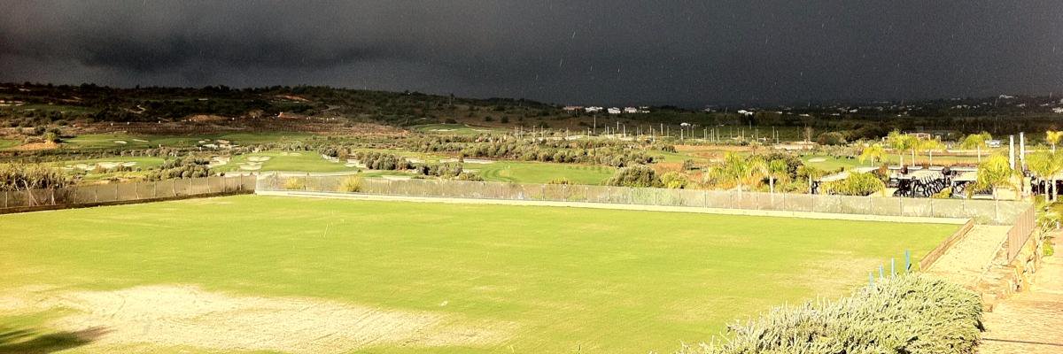 n_cavalheiro's profile banner image