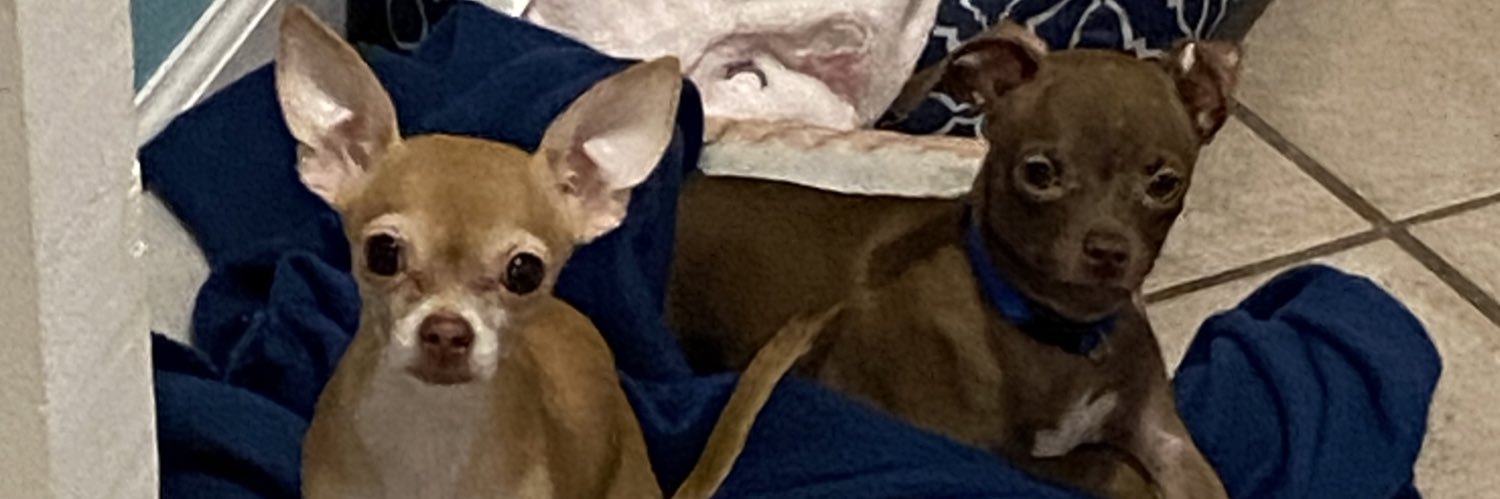 ssteve0123's profile banner image