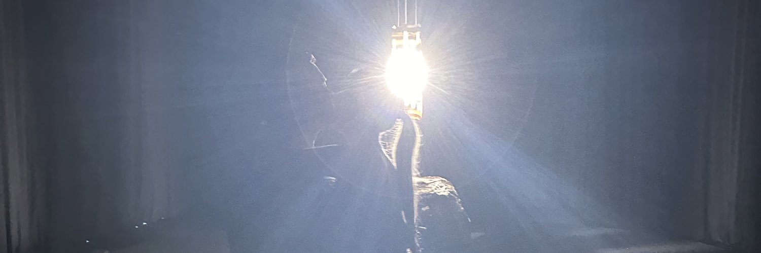 fridavelgo's profile banner image