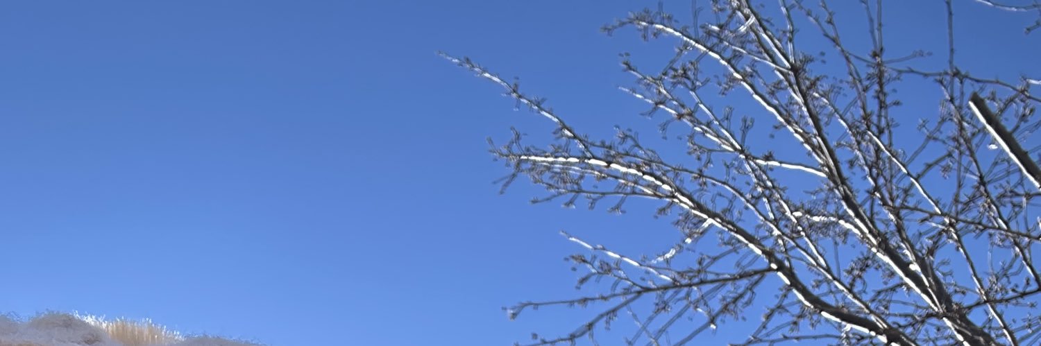 AshDestinyy's profile banner image
