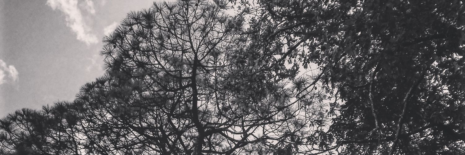 Iv4n_G's profile banner image