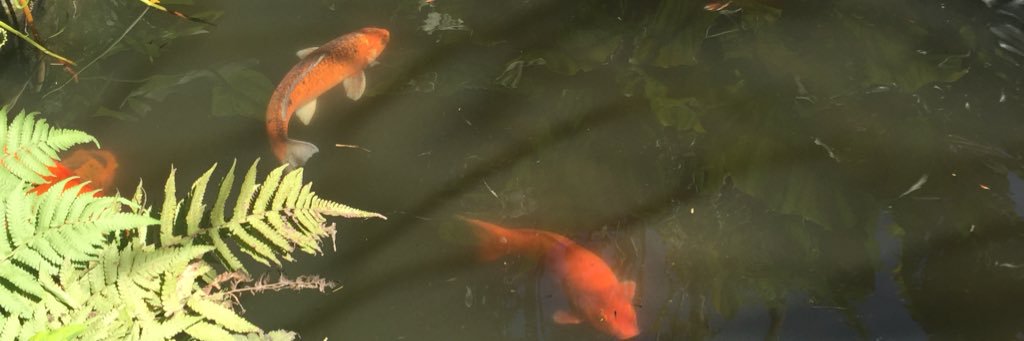 tinadluna's profile banner image
