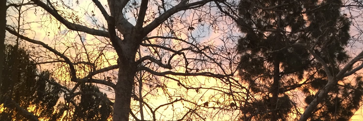 HannahBlitstein's profile banner image