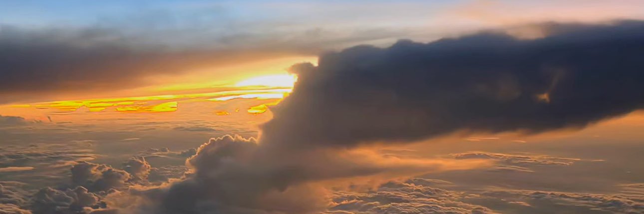 rochellesbraga's profile banner image